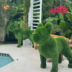 Französische Bulldogge – Tierform-Topiary (künstlich)