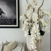 San Jose Vase in sandigem Beige mit weißen Orchideen im Wasserfall-Design