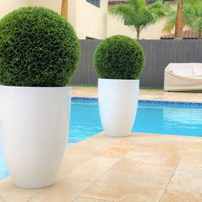 Topiary im Ben L Pflanzgefäß – 51 cm Fiberglas