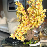Gelbe Cymbidium-Orchideen in Moon Vase
