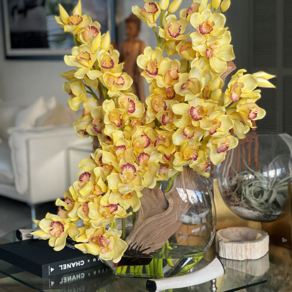 Gelbe Cymbidium-Orchideen in Moon Vase